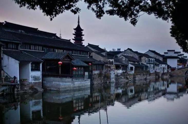 虫虫助手下载